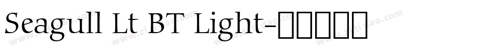 Seagull Lt BT Light字体转换